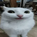 carlos