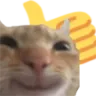 C_CatThumbsUp