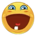 joeidiot
