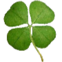 RT_Clover Discord emoji