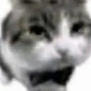 nohacenada custom emote from Mundo dos Animes - Br