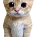 emoji_13