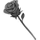 28608blackrose