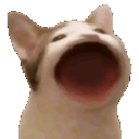 yap animated emote | Certified Yappers