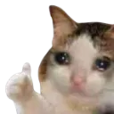 thumbs_up_crying_cat