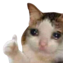 thumbs_up_crying_cat custom emote - Certified Yappers