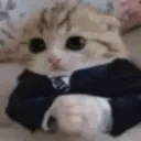 busines