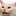:Cat: