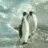 penguinslaps