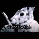 silencewallah