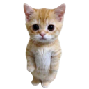 m_kitty Discord Emoji - Unsupervised Adults ¹⁸⁺