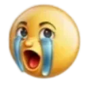 sob