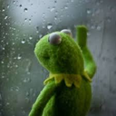 r_kermit_rain Discord Emoji | ✧ 𝙁 𝙀 𝙍 𝘼 𝙇 ✧