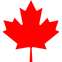 maple