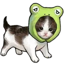 kittyfrog