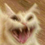 NHM_hhhh Discord sticker - 𝐕𝐀𝐋𝐂𝐎𝐍 𝐂𝐀𝐒𝐓𝐋𝐄