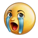 sob sob