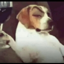 mhm Discord sticker | 18+/15+ server |drac hill|