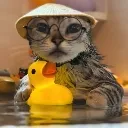 PKS_japcat
