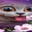 yay Discord Emoji - 💖Twinkhub🩵