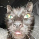 chad Discord Emoji - Love Island Roleplay