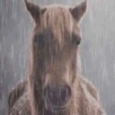 sadhorse Discord sticker from 💖Twinkhub🩵