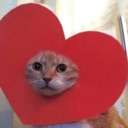 kittylove custom emote | 💖Twinkhub🩵