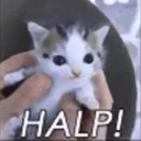 Halp Discord sticker from 💖Twinkhub🩵