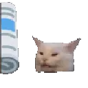 bonk