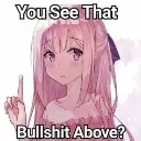 you_see_that_bullshit_above