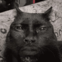 mog Discord Emoji from 𝐁𝐈𝐉𝐔𝐓𝐒𝐔 𝐒𝐓𝐑𝐄𝐄𝐓 ─ 🔞