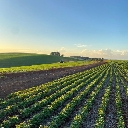 Agriculture Discord Emoji - (RP)THE WORLD STAGE