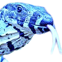 meglormia