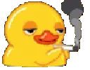 high_duck