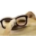 ermactually