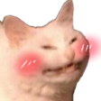 cattoblush custom emote from Makai 18+