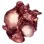 R_Seeds custom emote | Empire Shop