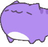 NoddingCatte