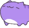 NoddingCatte