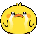 sadchicken sadchicken