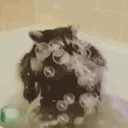 raccbubbles raccbubbles