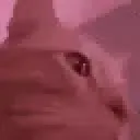 Emoji 1350379114179334217