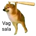 RRR_vag_sala RRR_vag_sala