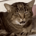 What Discord sticker - BeeCraft