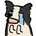 WAHHHHH WAHHHHH