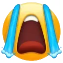 y_emoji_sobbing