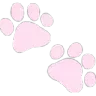paw_trail2