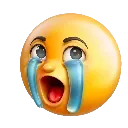 emoji_28