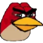 bird
