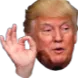 TrumpNice